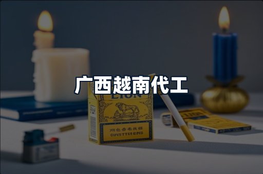 广西越南代工
